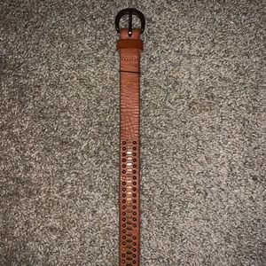 American Eagle Brown with Gold Details/Jewels